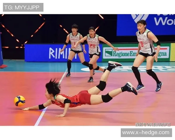 杭州排球队快攻战术深度解析与实战应用探讨