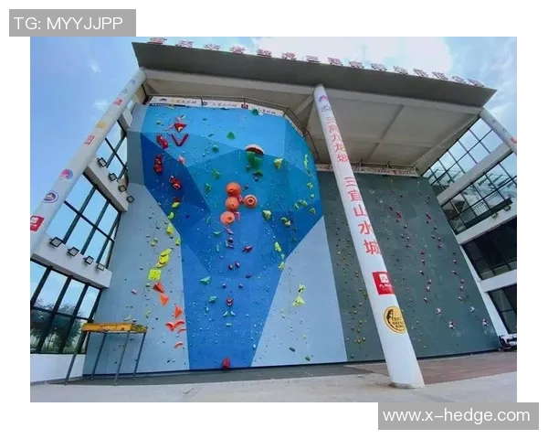 杭州攀岩队比赛经验的变革与热议引发的思考与启示