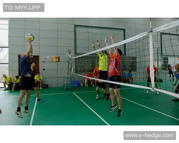 杭州排球队节奏创新高引领全国排球节奏排名新潮流 杭州排球队节奏创新高引领全国排球节奏排名新潮流