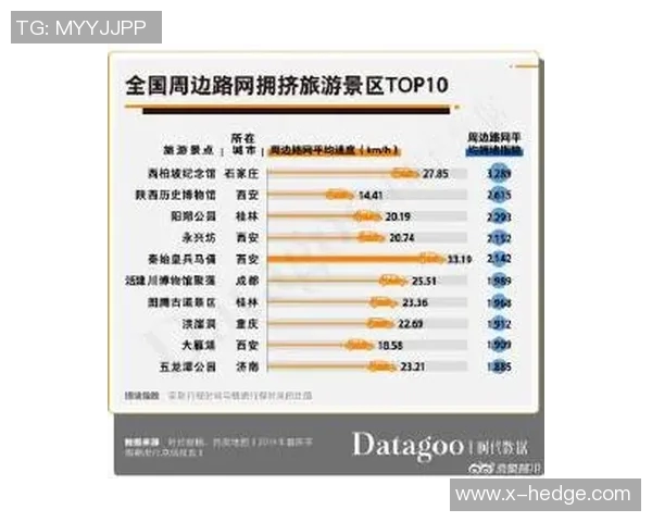 杭州排球队速度领跑最新排球速度TOP10榜单揭晓