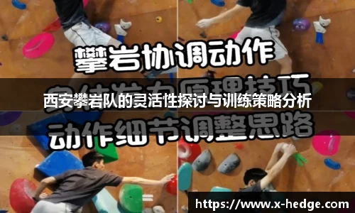 金年会