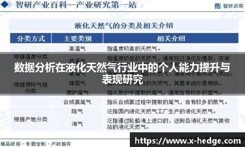 数据分析在液化天然气行业中的个人能力提升与表现研究