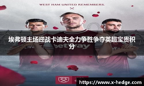 埃弗顿主场迎战卡迪夫全力争胜争夺英超宝贵积分