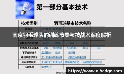 南京羽毛球队的训练节奏与技战术深度解析